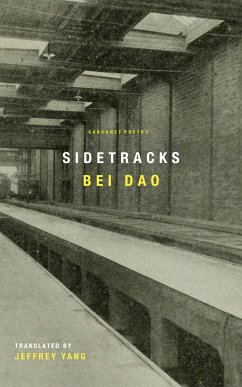 Sidetracks (eBook, ePUB) - Dao, Bei