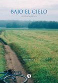 Bajo el cielo (eBook, ePUB)