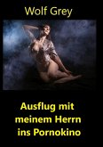 Sklavin im Pornokino (eBook, ePUB)