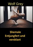 Shemale Entjungfert und versklavt (eBook, ePUB)