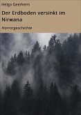 Der Erdboden versinkt im Nirwana (eBook, ePUB)