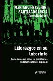 Liderazgos en su laberinto (eBook, PDF)