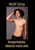 Sexparkplatz Nehmt mich alle (eBook, ePUB)