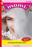 Aschenputtels große Liebe (eBook, ePUB)