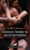 Sündiges Treiben im Architekturbüro   Erotische Geschichte (eBook, PDF)