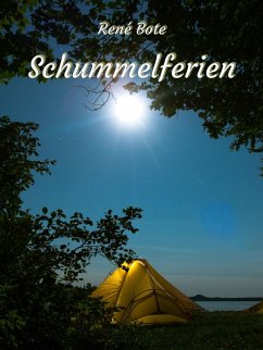 Cover Schummelferien (eBook, ePUB)