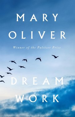 Dream Work (eBook, ePUB) - Oliver, Mary