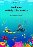 Die kleine mittelgroße Hexe 2 (eBook, ePUB)