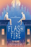 Flash Fire (eBook, ePUB)