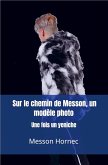 Sur le chemin de Messon, un modèle photo (eBook, ePUB)