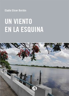 Un viento en la esquina (eBook, ePUB) - Elicer Bordón, Eladio