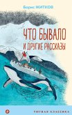 Что бывало и другие рассказы (eBook, ePUB)