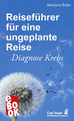 Reiseführer für eine ungeplante Reise (eBook, ePUB) - Brdar, Marijana