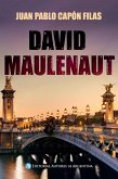 David Maulenaut (eBook, ePUB)