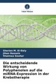 Die entscheidende Wirkung von Polyphenolen auf die miRNA-Expression in der Krebstherapie