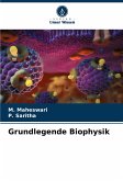 Grundlegende Biophysik