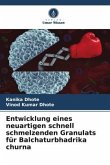 Entwicklung eines neuartigen schnell schmelzenden Granulats für Balchaturbhadrika churna