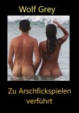 Zu Arschfickspielen verführt (eBook, ePUB)