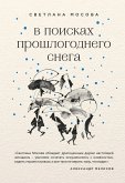 В поисках прошлогоднего снега (eBook, ePUB)