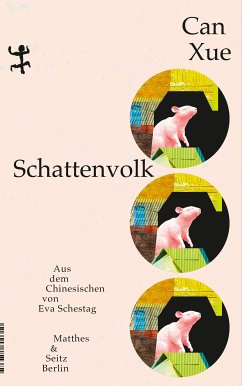 Schattenvolk (eBook, ePUB) - Xue, Can