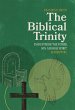 Biblical Trinity (eBook, ePUB) - Bild 1