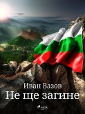 Не ще загине (eBook, ePUB)