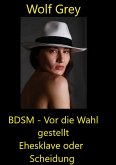 BDSM - Vor die Wahl gestellt Ehesklave oder Scheidung (eBook, ePUB)