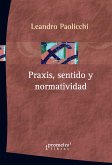 Praxis, sentido y normatividad (eBook, PDF)