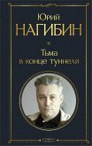 Тьма в конце туннеля (eBook, ePUB)