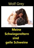 Meine Schwiegereltern sind geile Schweine (eBook, ePUB)