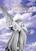 Entre la luz y las sombras (eBook, ePUB)