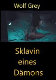 Sklavin eines Dämons (eBook, ePUB)