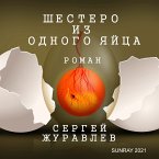 ШЕСТЕРО ИЗ ОДНОГО ЯЙЦА (eBook, ePUB)