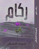 ركام (eBook, ePUB)