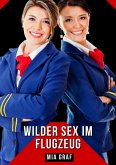 Wilder Sex im Flugzeug (eBook, ePUB)