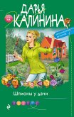 Шпионы у дачи (eBook, ePUB)