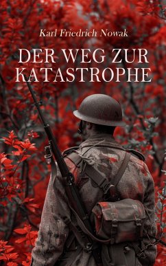 Cover Der Weg zur Katastrophe (eBook, ePUB)