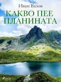 Какво пее планината (eBook, ePUB)