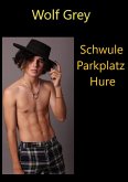 Schwule Parkplatzhure (eBook, ePUB)