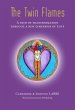 The Twin Flames (eBook, ePUB) - Bild 1