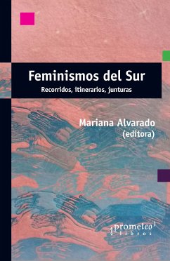 Feminismos del sur (eBook, PDF) - Alvarado, Mariana