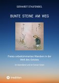 Bunte Steine am Weg (eBook, ePUB)