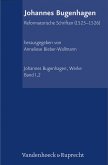 Abteilung I: Reformatorische Schriften (eBook, PDF)