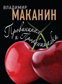 Провинциал и Провинциалка (eBook, ePUB)