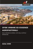 SFIDE URBANE ED ESIGENZE AGROPASTORALI