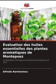 Évaluation des huiles essentielles des plantes aromatiques de Montepuez