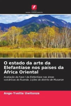 O estado da arte da Elefantíase nos países da África Oriental - Uwitonze, Ange-Yvette