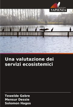 Una valutazione dei servizi ecosistemici - Gebre, Tewelde;Dessie, Mensur;Hagos, Solomon