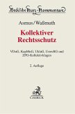 Kollektiver Rechtsschutz