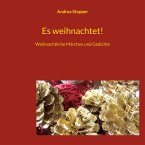 Es weihnachtet! (eBook, ePUB)